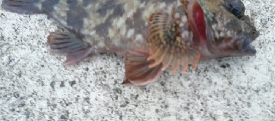 今シーズン最大