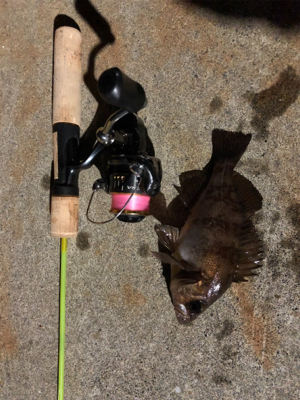 初のリバーシーバス