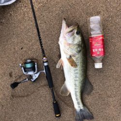 いきなり来た‼︎