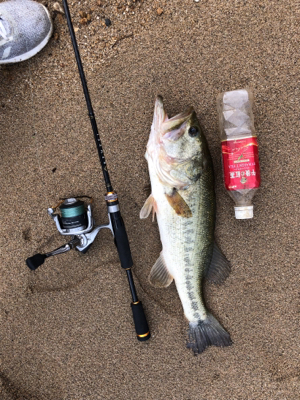 いきなり来た‼︎