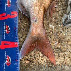 玉野 六郎島 沖磯フカセ