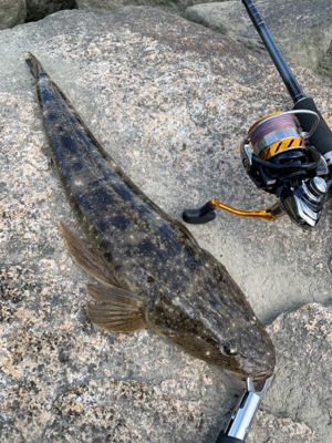 紀の川ウェーディング