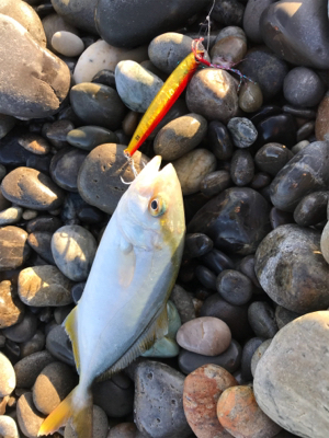 七里御浜ショアジギング