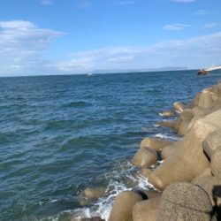 三日越しの、淡路撃沈の、結局。