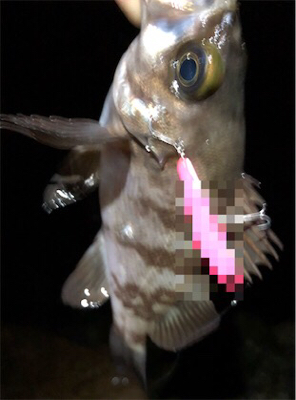 三目プラッキング