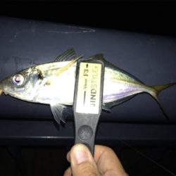 NEWロッドに鱗付け