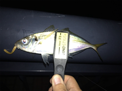 NEWロッドに鱗付け