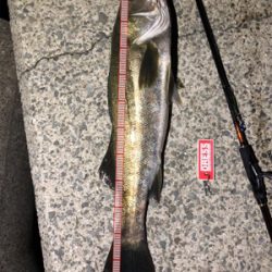 メタルマルハンパないって!