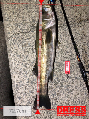 メタルマルハンパないって!