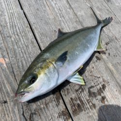 釣堀水宝さんにて