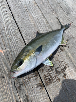 釣堀水宝さんにて