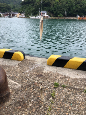 ちょい投げキス