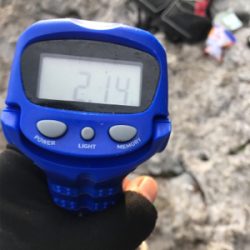 アオリイカ、キロアップ