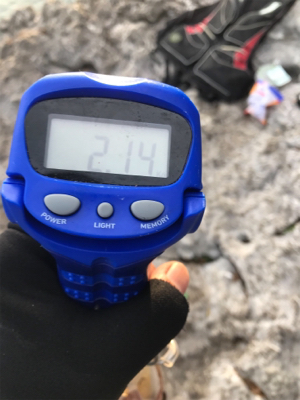 アオリイカ、キロアップ