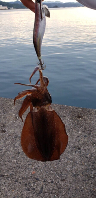 和歌山遠征！！