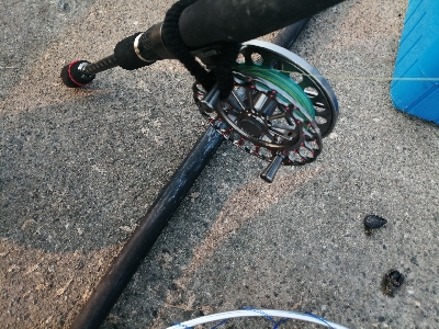 久しぶりに年無し