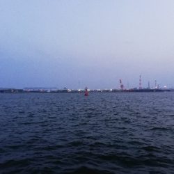 シーバスゲーム