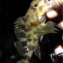 リトルロックゲーム