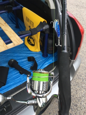 少し大きくなってるツバスたち