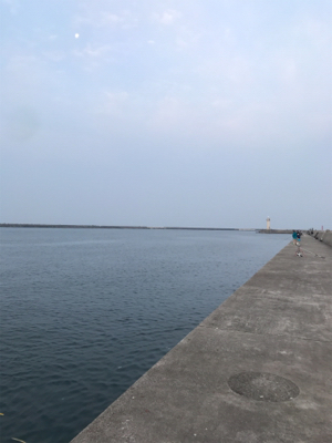 青岸のタチウオ