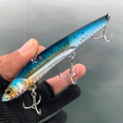 またツバスからの『?』と巨エイ