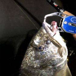 水が濁っていた。