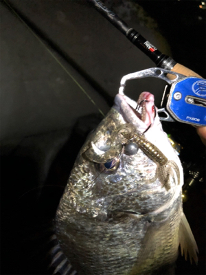 水が濁っていた。