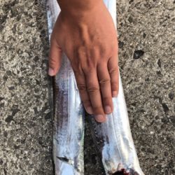 遠征大成功！太くて長いの