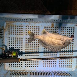 今日もいつもの