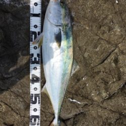 結果良ければ全て良し!?