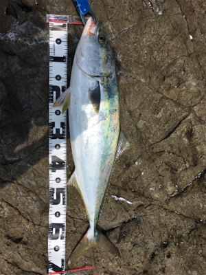 結果良ければ全て良し!?