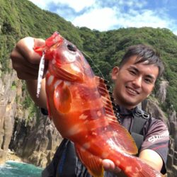 サマーロック目前⁉︎ ライトロックゲーム