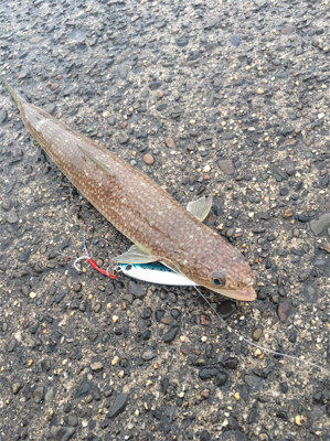 エイエイやー\(^o^)/