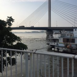 ジギングとサビキ