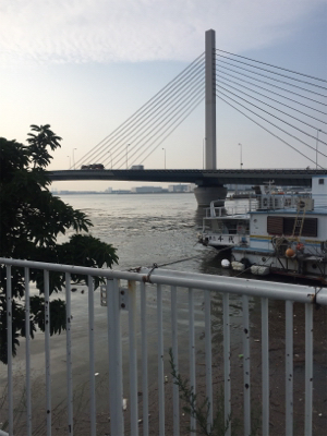 ジギングとサビキ