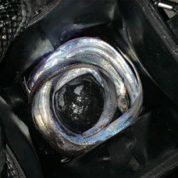 土用のタチウオ タッチポン