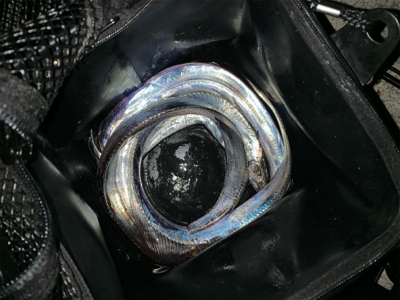 土用のタチウオ タッチポン