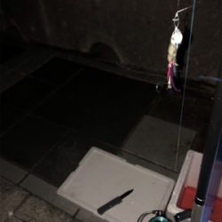 マリーナタチウオ