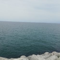 ちっちゃい(´・д・｀)