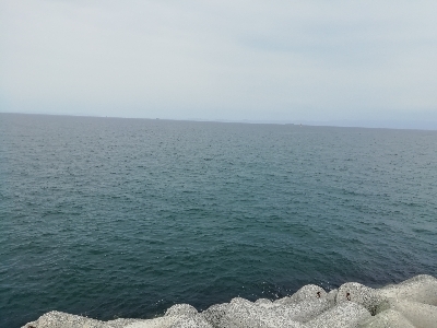 ちっちゃい(´・д・｀)