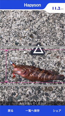 親狙い 親のほうや