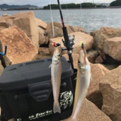 久しぶりのキス釣り(^^)