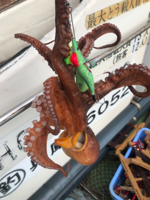 オクトパッシング