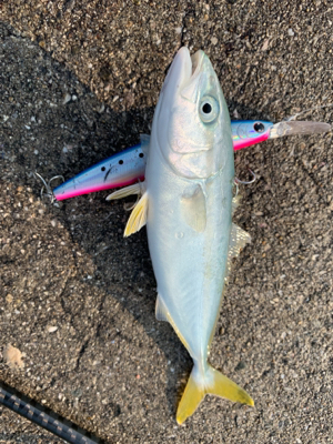 ちっちゃいなぁ、、、