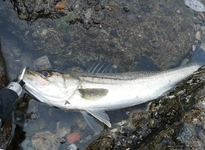 ソルトルアーマン1800〜2045