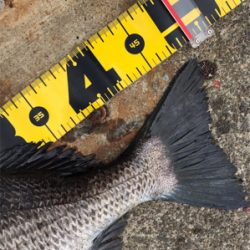 目印落とし込み特訓中