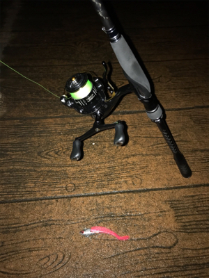 夕方シーバス調査