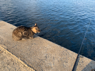 名前がわからない