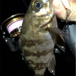 プラグロックゲーム