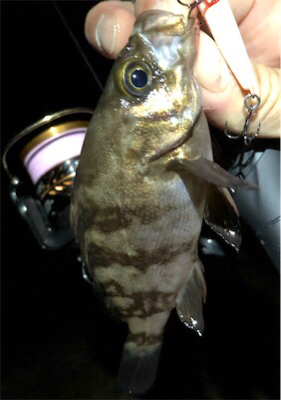 プラグロックゲーム